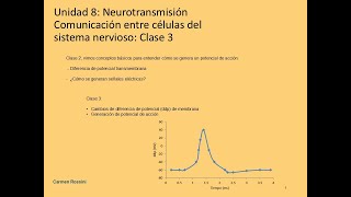 Unidad 8 2024 Neurotransmisión clase 3 [upl. by Maher683]