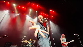 Spin Doctors  Jimmy Olsens Blues Live Grand Prairie Texas August 12 2022 [upl. by Tailor]