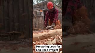 Peeling Logs for a Log Cabin and Shed never gets old [upl. by Williamsen]