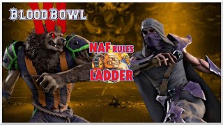 Blood Bowl 3  NAF Ladder  Jimmy Fantastic Necromantic vs CBraws Dark Elf [upl. by Attennot167]