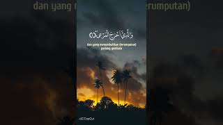 May you guide all the people of this world sorts kabbage islamicholybook foryou tanding viral [upl. by Aonian]