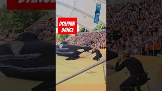 Dolphin dance craft [upl. by Grantley]