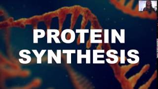 Protein Synthesis [upl. by Meisel]