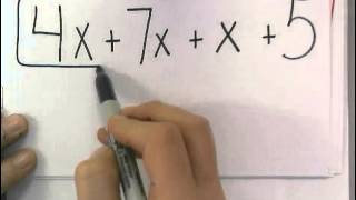 Distributive Property and Combining Like Terms  Math 6 [upl. by Vincenta]