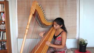 Paraguayan harp  Cascada played by Fizzi Whale [upl. by Korie]