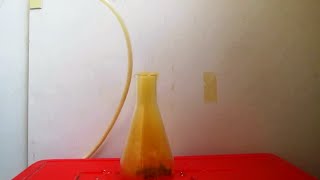 Preparation amp Properties of Nitrosyl chloride [upl. by Eelyrag637]