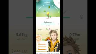 Bellsprout evolve to Weepinbell pokemongo pokemon pokémonevolutions [upl. by Mccarthy]