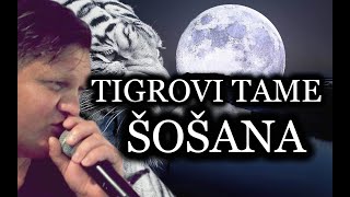 TIGROVI TAME  ŠOŠANA UŽIVO [upl. by Brande857]