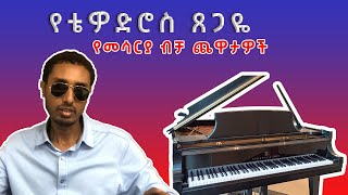 á‹¨á‰´á‹Žá‹µáˆ®áˆµ áŒ¸áŒ‹á‹¬ á‹¨áˆ˜áˆ³áˆ­á‹« á‰¥á‰» áŒ¨á‹‹á‰³á‹Žá‰½â€¦ Tewodros Tsegaye Instrumentals EthiopianMusic EthiopianInstrumentals [upl. by Eilerua]