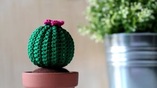 Tutorial Cactus rotondo amigurumi [upl. by Cirilo]