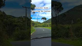 Get Ready to Explore New Zealand  Bethells Beach  shorts minivlogs travel nature [upl. by Fedora]