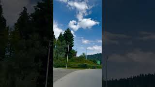 Nigaro 🕊️🥀youtubeshorts kashmirisongs explore travel viralreel [upl. by Manning]