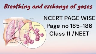 MECHANISM OF BREATHING  ncert page 185186 [upl. by Oribella663]