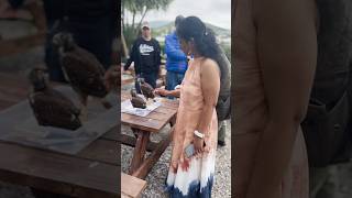 Falconry adventure 🦅🦉🦅in Dingle viralvideo falconrylife tamilshorts ireland irishtamilachi [upl. by Chuu542]