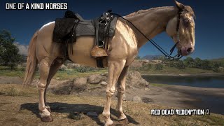 7 One of a Kind Horses for Arthur  Red Dead Redemption 2 [upl. by Rauscher340]