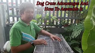 Dog Crate Advantages And How To Assemble It allpetmatters dog dogcrate [upl. by Matless778]