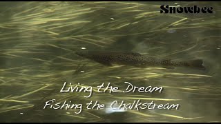 Ultimate Chalkstream Fly Fishing for Big Trout small stream WildernessTV [upl. by Klehm]