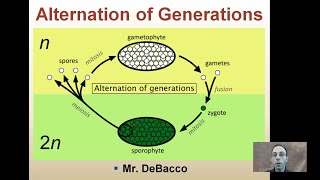 Alternation of Generations [upl. by Matejka]