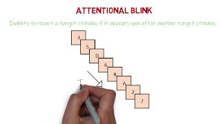 Attentional Blink  MinsEducation [upl. by Bazar]