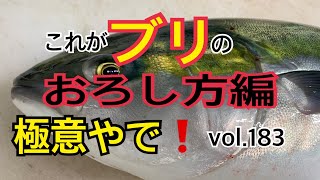 これがブリのおろし方編 vol183 [upl. by Yrellih]