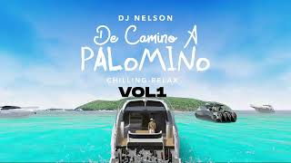 DJ Nelson x Alejandro Armes x Dalex  En La Disco Revela Official Audio [upl. by Latsryc]