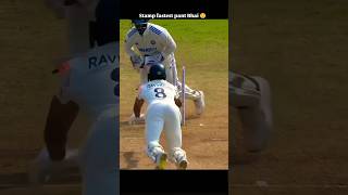 fast wicket keeper cricket viralshort kingkohli virat [upl. by Ahoufe163]