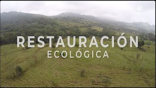 Restauración ecológica [upl. by Eerehc840]