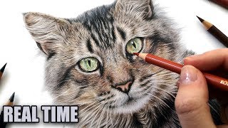 How to draw CAT EYES in colored pencil  REAL TIME TUTORIAL [upl. by Spark]