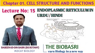 Endoplasmic Reticulum structure and Functions in Urdu Hindi [upl. by Bilbe]