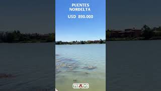 LOTE EN PUENTES  TIZADO NORDELTA [upl. by Aremus]