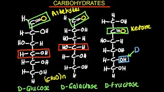 Carbohydrates  Monosaccharides  Biology [upl. by Lucky955]