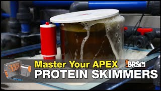 Issues With Your Protein Skimmer Here’s How the Neptune Apex Can Help  Neptune Apex Setup Guide [upl. by Garrison]