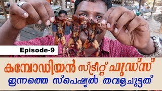 STREET FOODS IN CAMBODIA VILLAGE FOOD amp FROG BBQ  Cambodia travel videos  Harees Ameer Ali [upl. by Lewej]