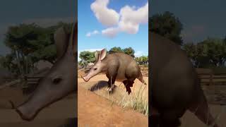 Aardvark  little interesting facts about animals [upl. by Eelesor602]