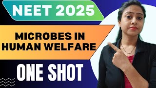 Microbes in human welfare  One Shot Chapter  Class 12 Biology  NEET 2025  tanujabiostudies [upl. by Neros615]