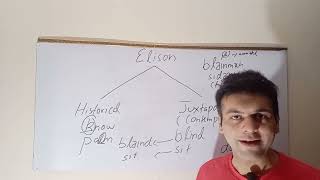 Elision ll Types ll Phonetics [upl. by Junina664]