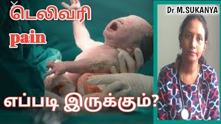 DELIVERY PAIN HOW to identify in tamil by Dr M Sukanya MBBS PGDUSG [upl. by Buroker457]