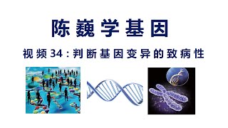 【陈巍学基因】视频34：判断基因变异的致病性 [upl. by Otter]