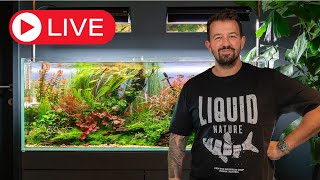 Aquascaping QampA Livestream [upl. by Yrtsed]