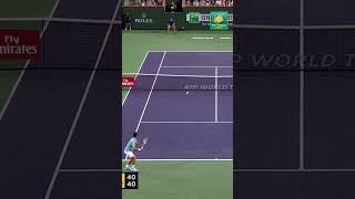 Novak Djokovic EPIC point vs Juan Martin del Potro [upl. by Hsevahb]