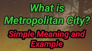 What is Metropolitan City Metropolitan in Geography  Metropolitan meaning with example [upl. by Iniffit111]