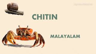 CHITIN POLYSACCHARIDES  CARBOHYDRATES  BIOCHEMISTRY  MALAYALAM [upl. by Tomasine271]