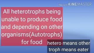 Consumers  heterotrophs  Biological terms [upl. by Carree368]