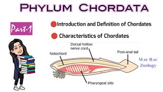 Part1 Introduction and Definition of ChordatesCharacteristics of ChordatesMsc Bsc Zoology NEET [upl. by Marasco]