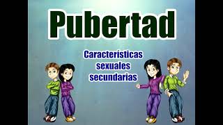 Los caracteres sexuales secundarios [upl. by Kerk825]