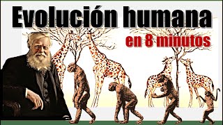 Evolución humana Explicación actualizada Humanidad  En 8 minutos  Alquimia del Saber  V24 [upl. by Ennayd]