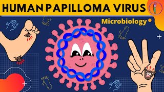 Human Papilloma Virus Microbiology  Morphology Clinical presentations Diagnosis Treatment [upl. by Veradi977]