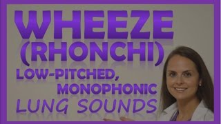 Wheezes Lung Sounds Monophonic Rhonchi Breath Sounds Abnormal Sonorous Wheeze [upl. by Belle]