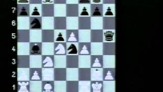 Schach der Grossmeister 1998 [upl. by Angid]