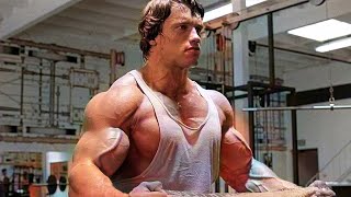 ARNOLD SCHWARZENEGGER VS LOU FERRIGNO  BODYBUILDING MOTIVATION [upl. by Llemar]